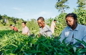 Timor-Leste Oxfam kate bensen