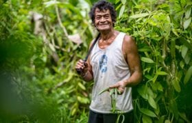 Food and livelihoods
