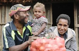 Onion-Harvest-Papua-New-Guinea