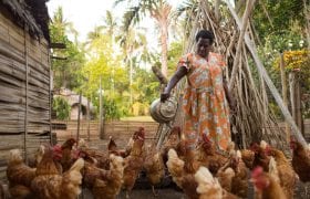Bertha with the chickens she raises with support from Oxfam's livelihoods project in Vanuatu.