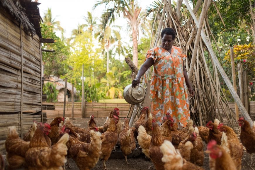 Bertha with the chickens she raises with support from Oxfam's livelihoods project in Vanuatu.