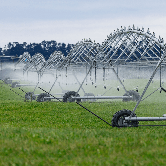 irrigation