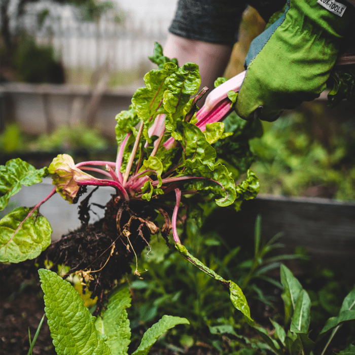 Help farmers feed a climate-friendly future