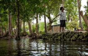 A woman stands beside a stream.