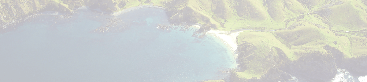 Image of a landscape from above