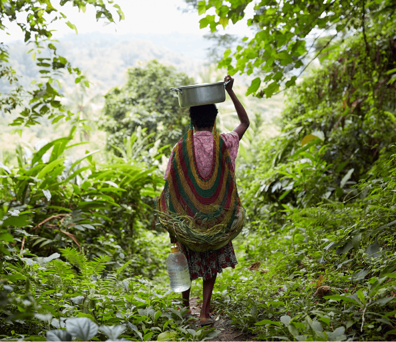 Woman walks with bucket of water towards green forest
