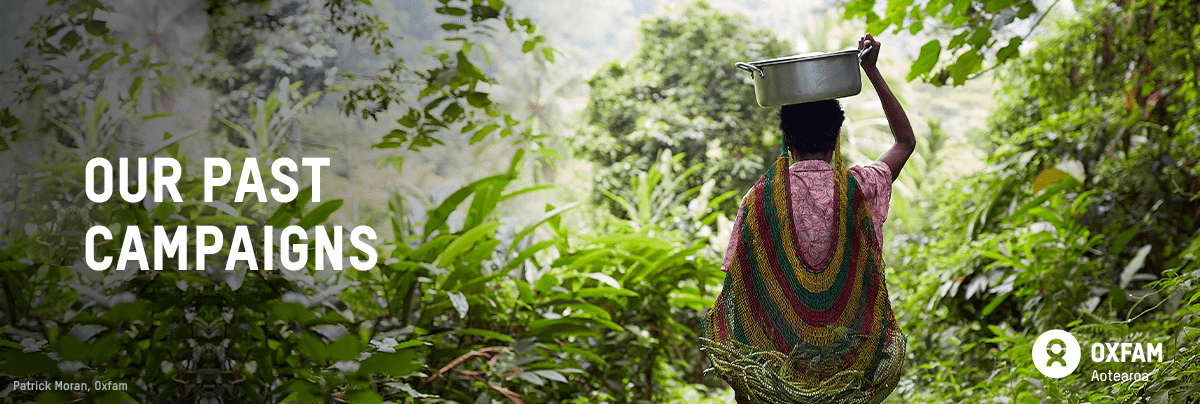 Image of a woman carrying water into a lush green area with text 'Our past campaigns'