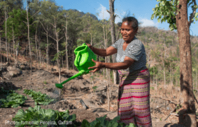 A woman golds a green watering can.