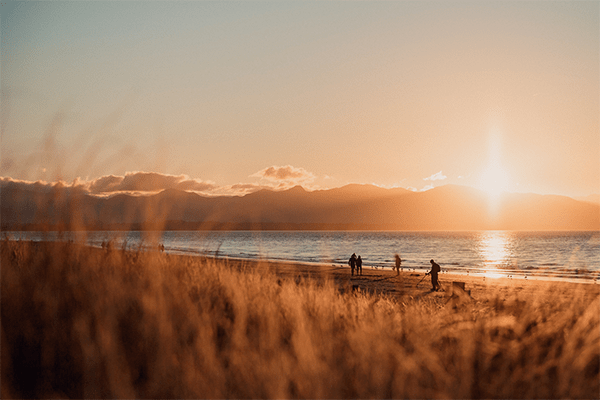 Scenic image of a beach in NZ