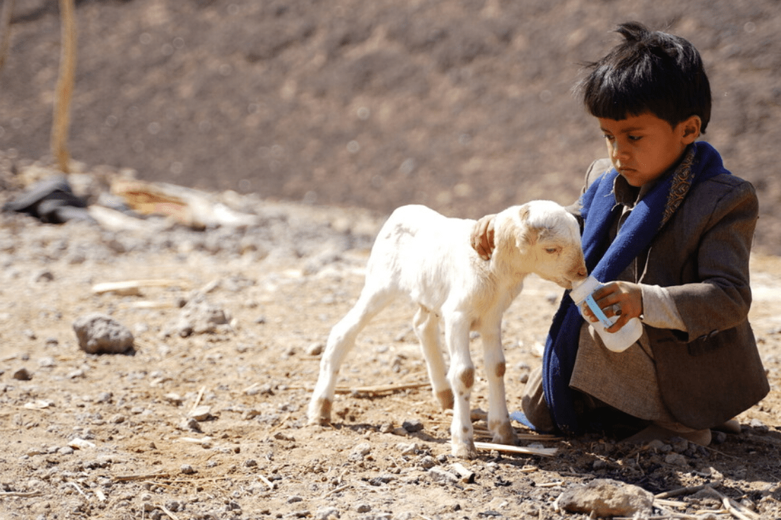 A boy plays with a goat in Yemen