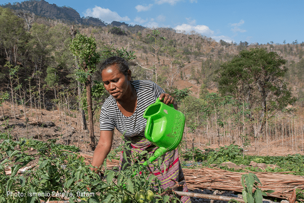 A woman waters her garden from a green watering can