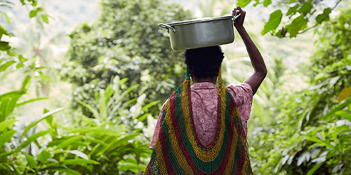 A woman carries a water bucket in a forest