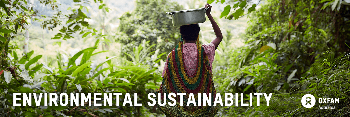 A woman carries a water bucket in a forest