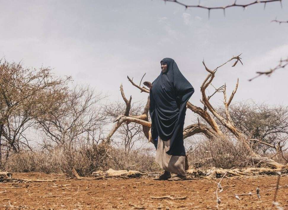 A woman stands in front of trees in a dry landscape