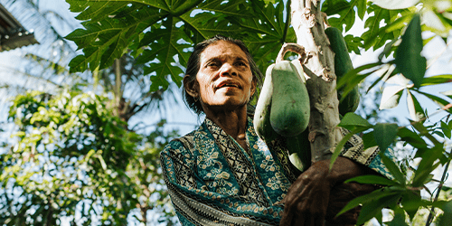 An older lady stands with crops