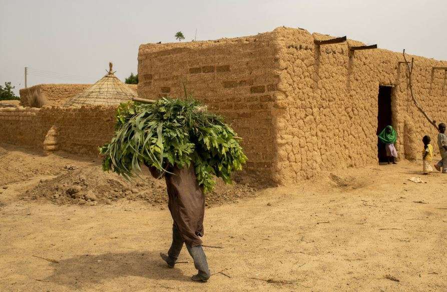 A person carries leaves on their shoulders