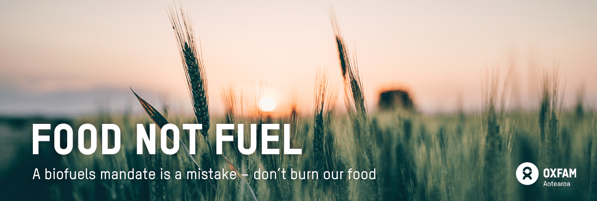 Food not fuel: A biofuels mandate is a mistake – don’t burn our food