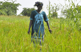 A woman walking in a grass field