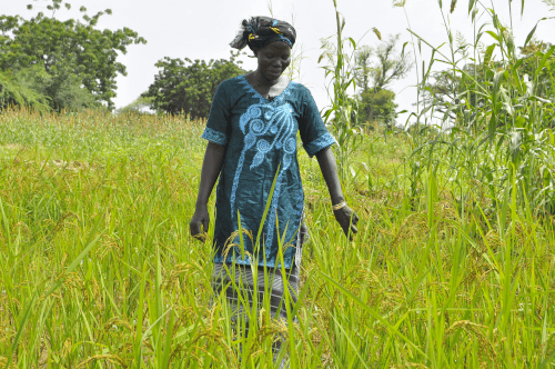 A woman walking in a grass field