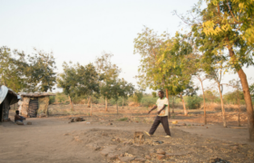 A man walks in a barren landscape