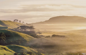 New Zealand landscape