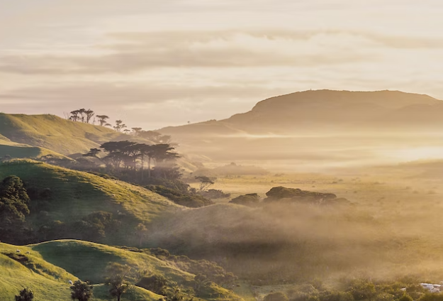 New Zealand landscape