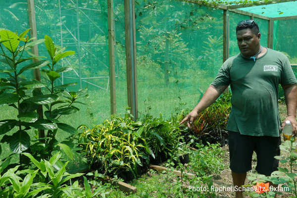 Man standing in garden