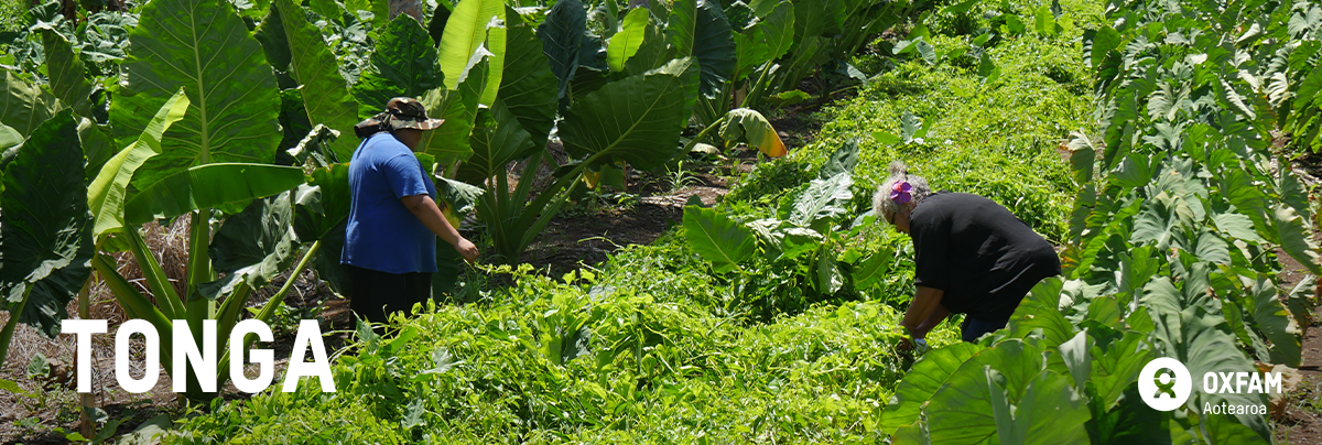 Tonga header image, farm