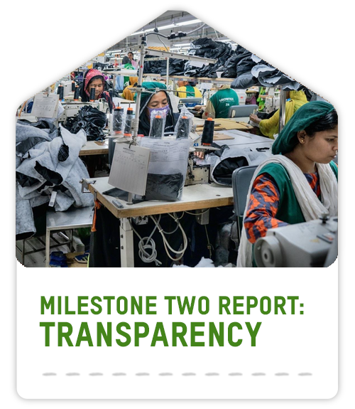 Milestone two report: transparency