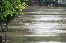 Flooding in India