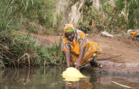 Woman collecting water