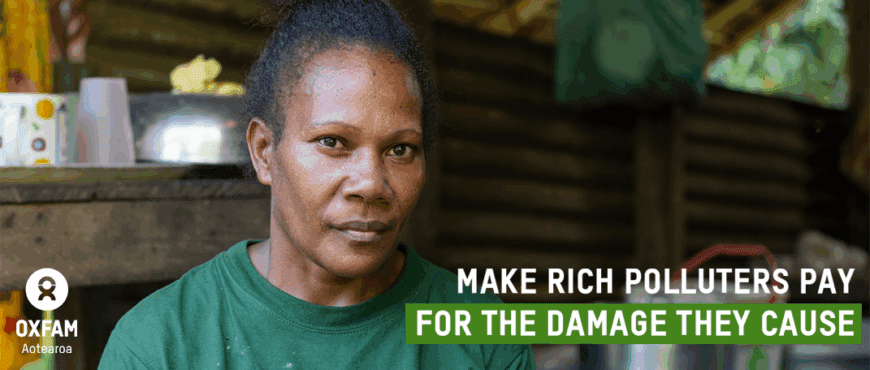 Make Rich Polluters Pay