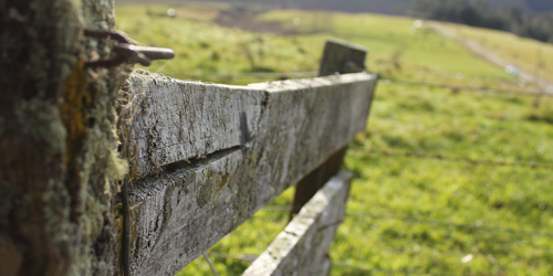 Fence post on a farm